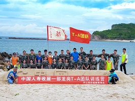 创意沙雕-军正海岛求生项目